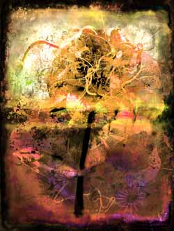 2020-11-15 Indianernessel-06 60x80cm Tinte auf Hahnemühlepapier